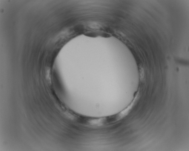 X0000077370178200611101713