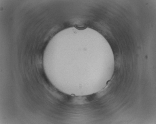 X0000077370179200611101713