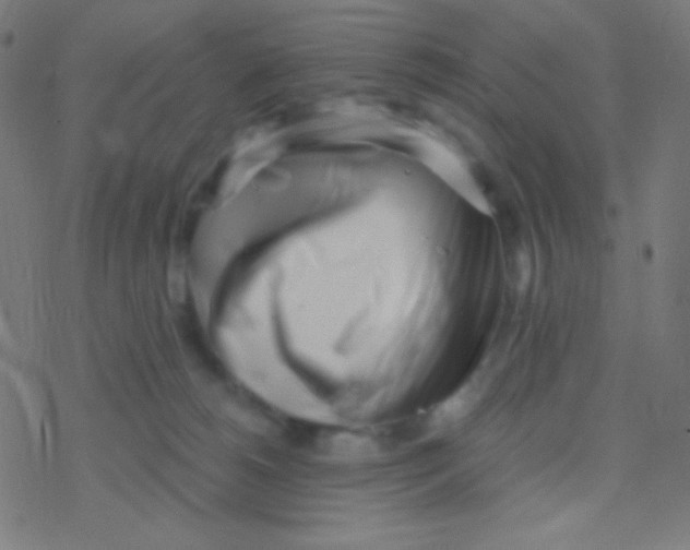 X0000077370180200611101713