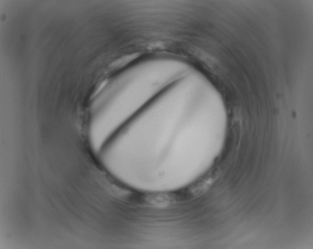 X0000077370181200611101713