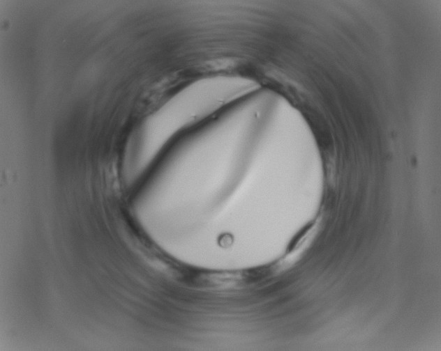 X0000077370182200611101713