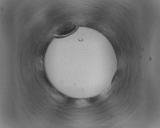 X0000077370183200611101713