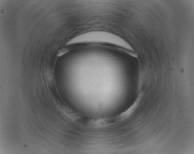 X0000077370186200611101713