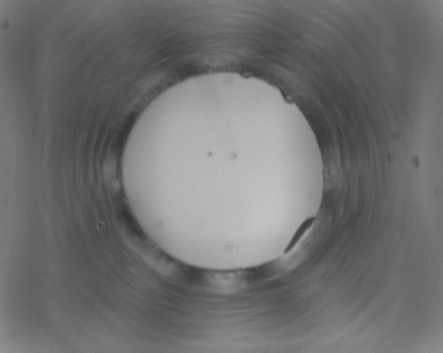 X0000077370187200611101713