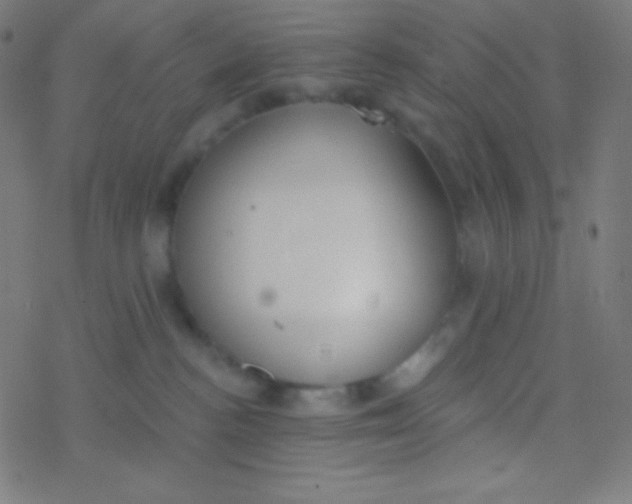 X0000077370188200611101713