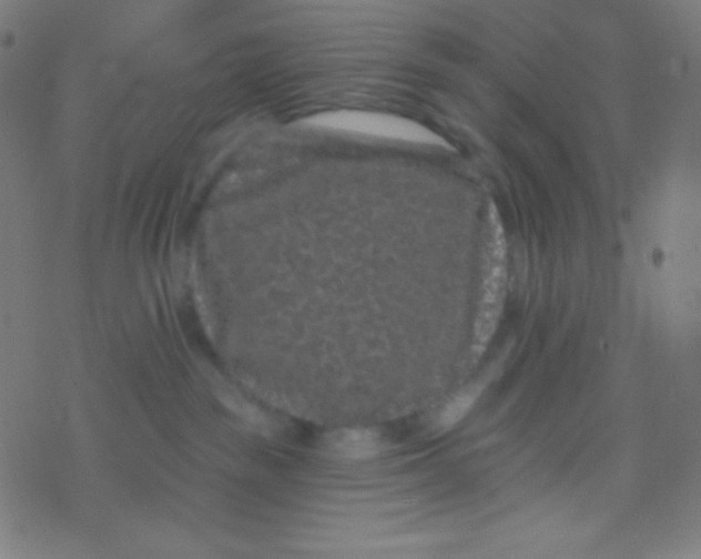 X0000077370189200611101713