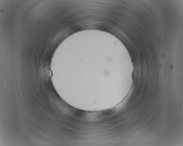 X0000077370190200611101713