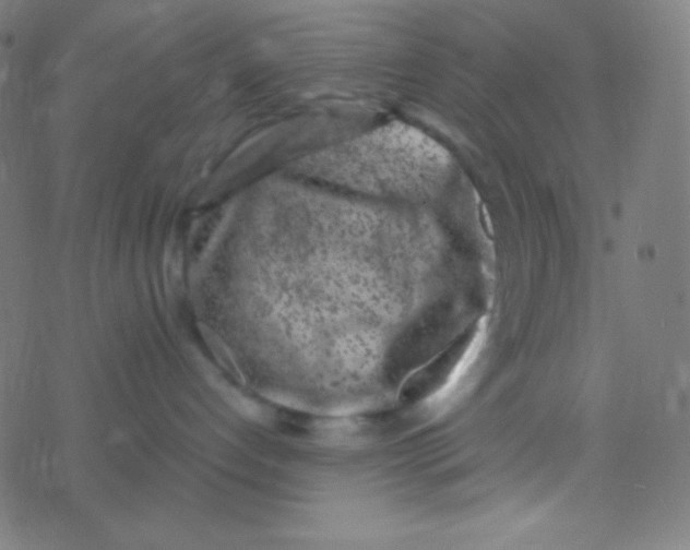 X0000077370192200611101713