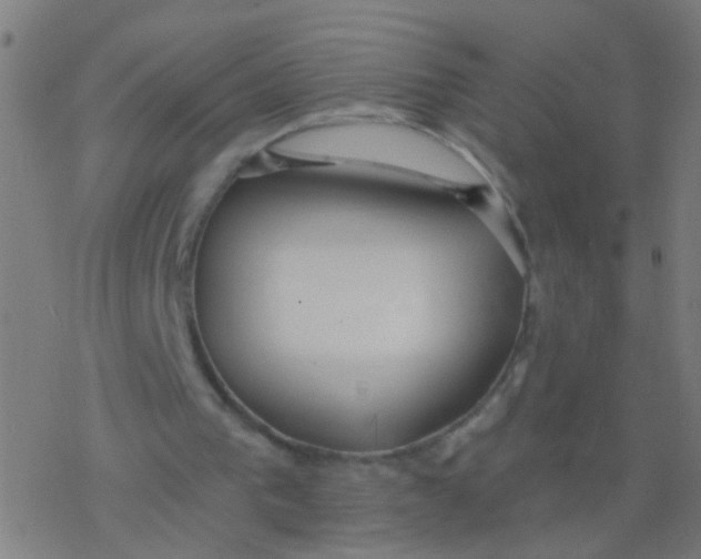 X0000077370193200611101713