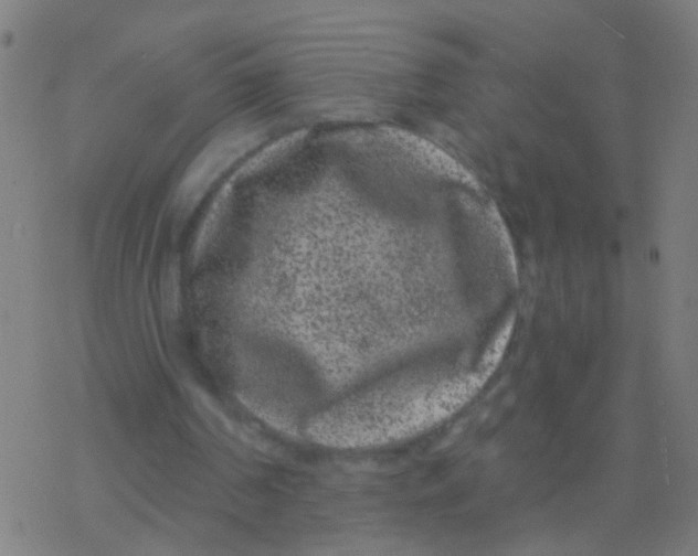 X0000077370194200611101713