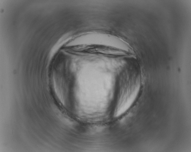 X0000077370198200611101713