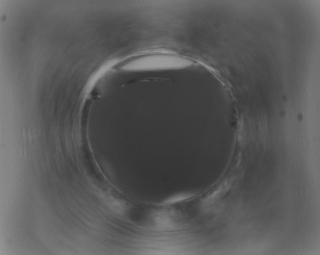 X0000077370200200611101712