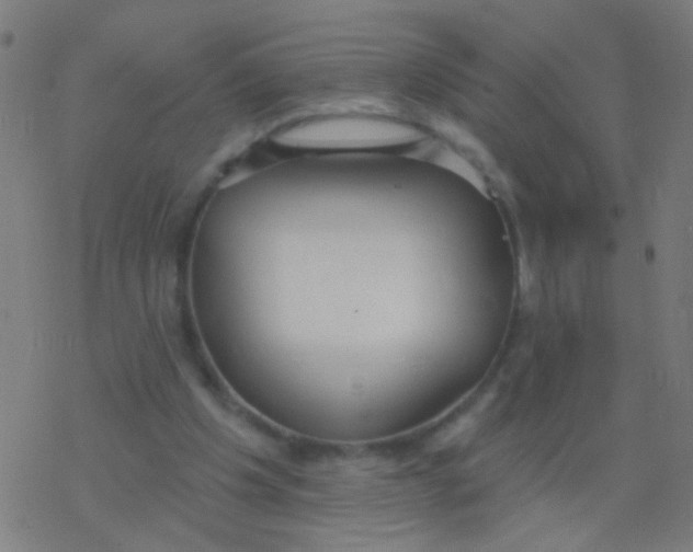 X0000077370201200611101712