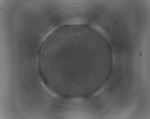 X0000077370202200611101712