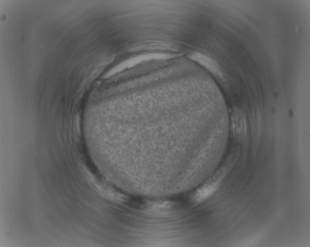 X0000077370206200611101712