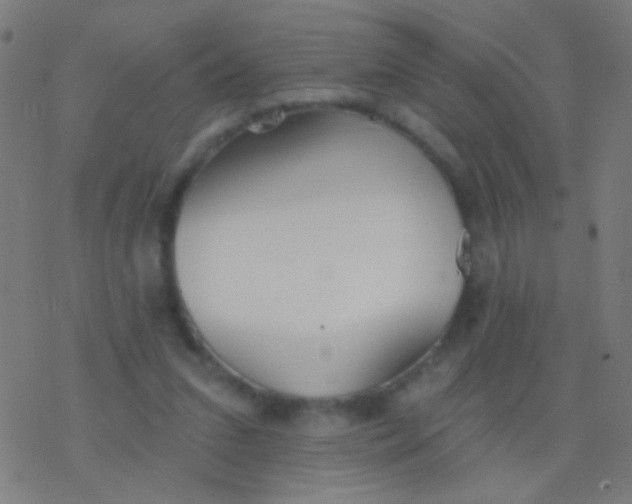 X0000077370207200611101712