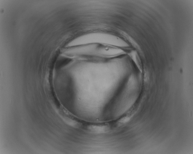 X0000077370209200611101712