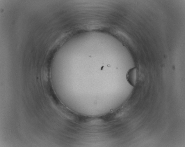 X0000077370210200611101712