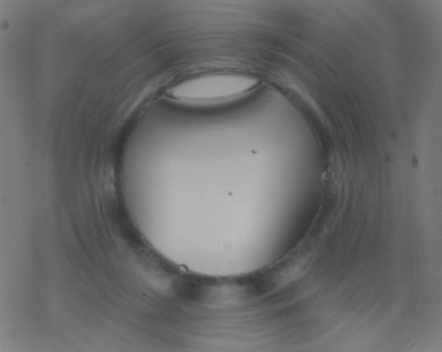 X0000077370212200611101712