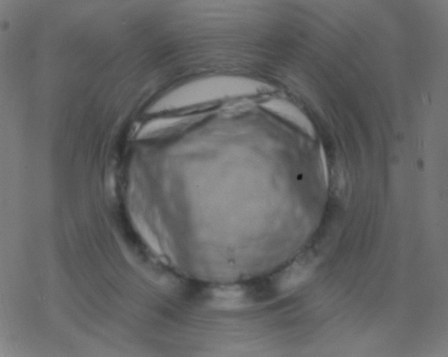 X0000077370214200611101712