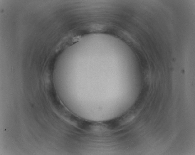 X0000077370215200611101712