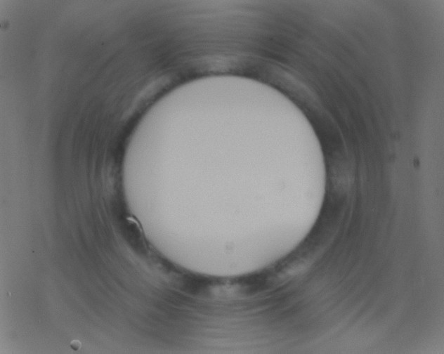 X0000077370216200611101712