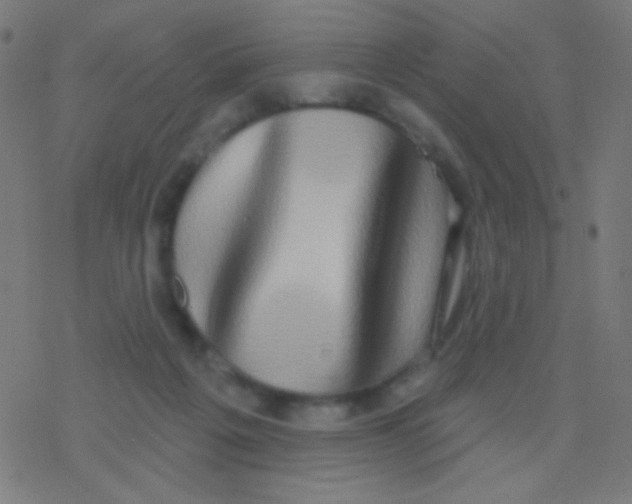 X0000077370217200611101712