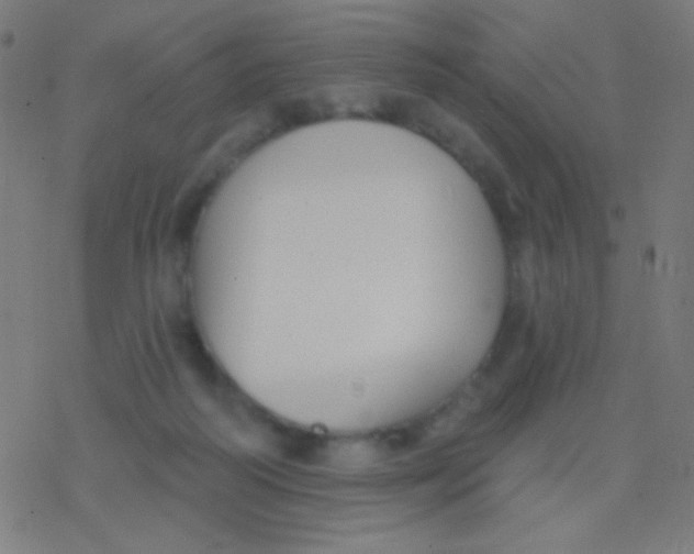 X0000077370218200611101712