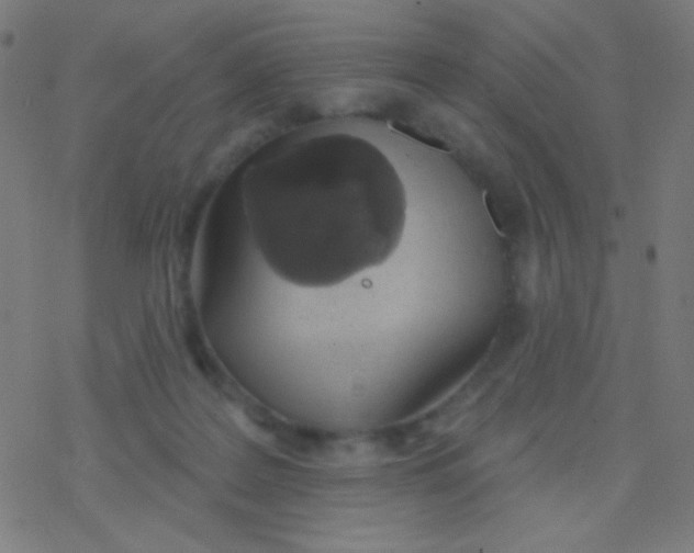 X0000077370219200611101712