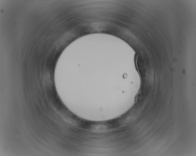 X0000077370220200611101712