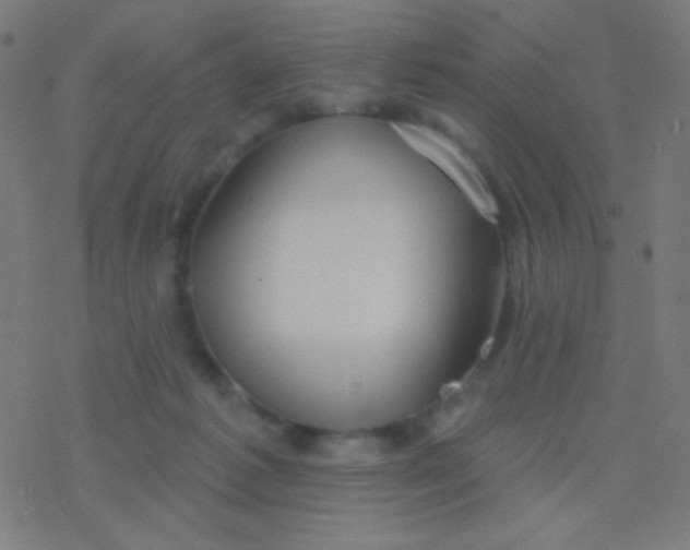 X0000077370221200611101712