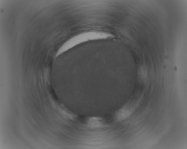 X0000077370222200611101712