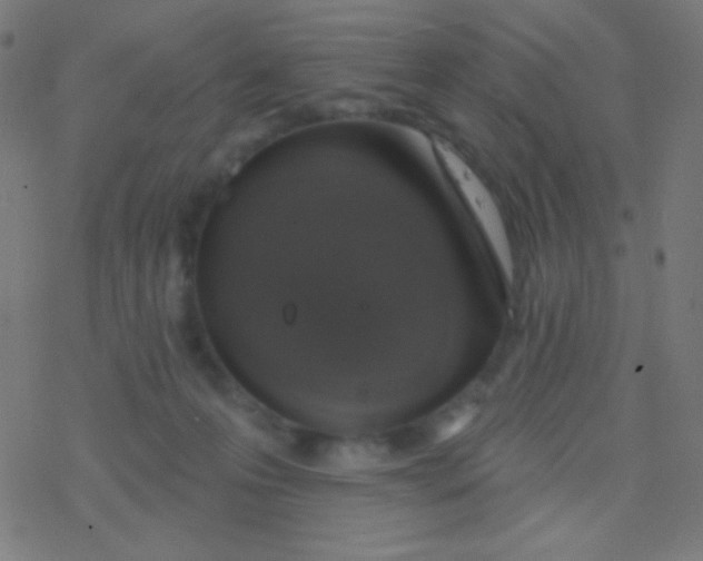 X0000077370223200611101712