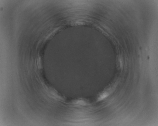 X0000077370224200611101712