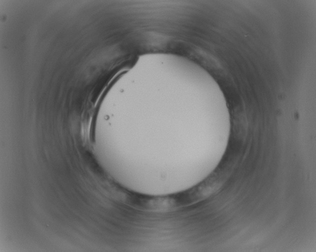 X0000077370225200611101712