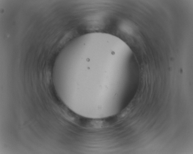 X0000077370227200611101712