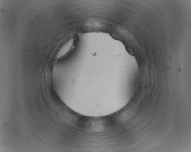 X0000077370228200611101712