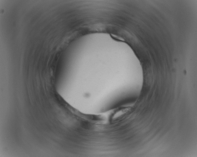 X0000077370229200611101712