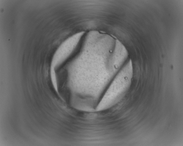 X0000077370230200611101712