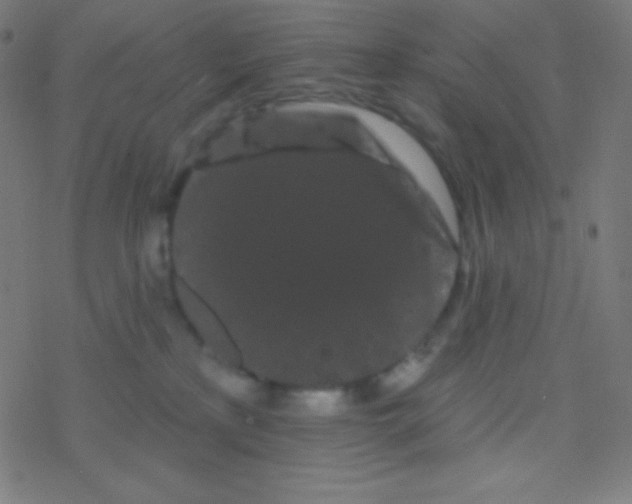 X0000077370233200611101712