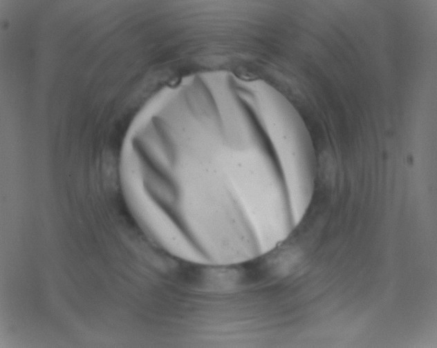 X0000077370234200611101712