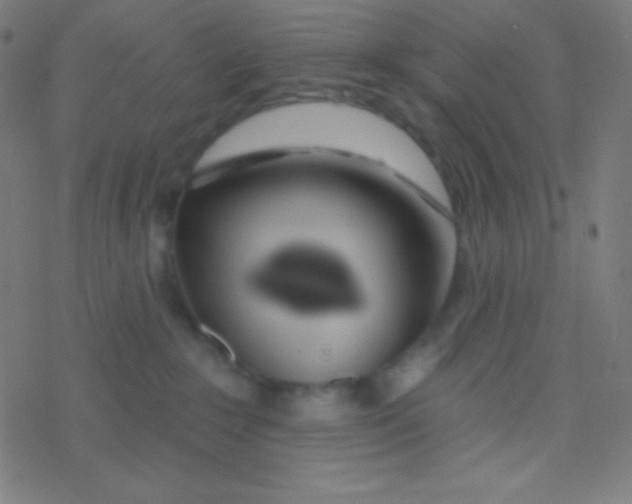 X0000077370235200611101712