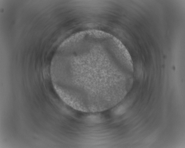 X0000077370236200611101712