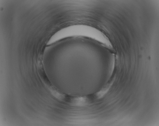 X0000077370237200611101712