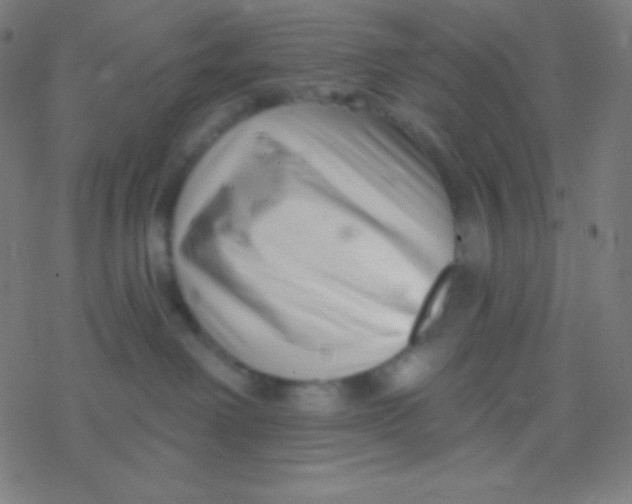 X0000077370238200611101712