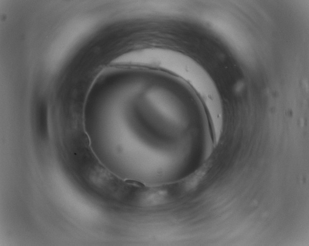 X0000077370239200611101712