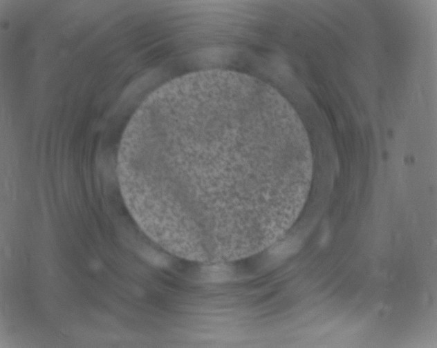 X0000077370240200611101712