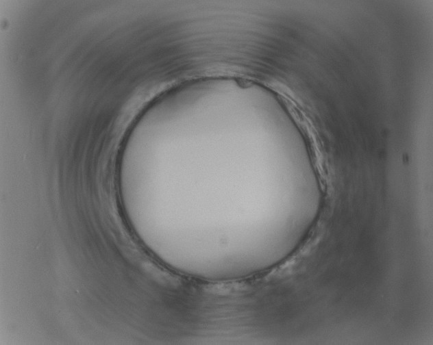 X0000077370241200611101711