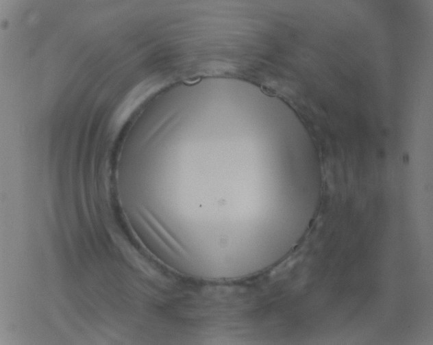 X0000077370242200611101711