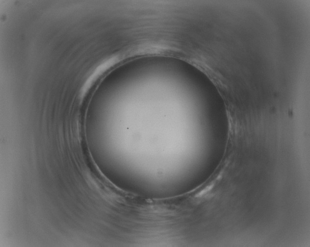 X0000077370244200611101711